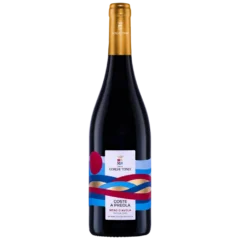 Botella de Coste a Preola Nero d’Avola Sicilia DOC Gorghi Tondi 75 cl