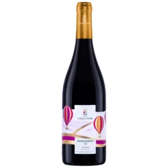 Botella de Meridiano 12 Syrah Sicilia DOC Gorghi Tondi 75 cl